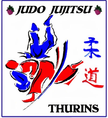 logo judo