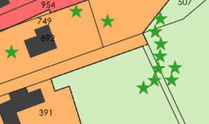 urbanisme focus plan arbre à préserver